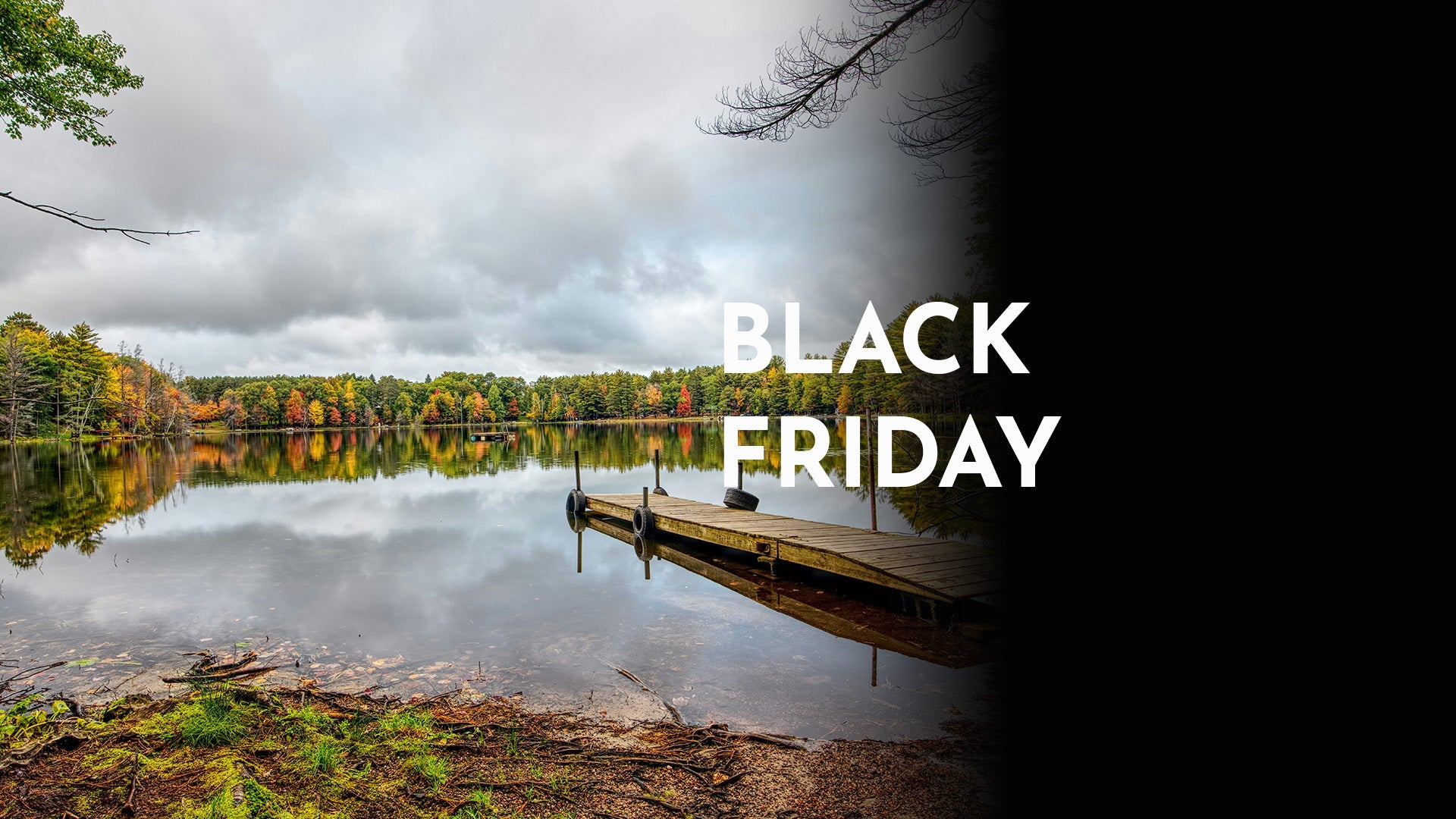 Black Friday Specials
