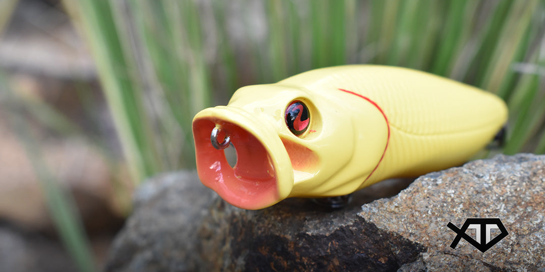 A Guide to Topwater Popper Fishing | Terminator Tackle